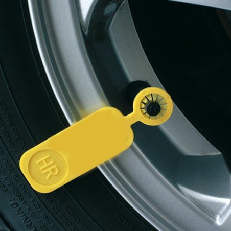 Clip per pneumatici