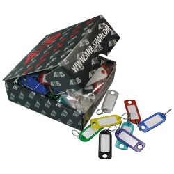 PORTACHIAVI CON ANELLO plastica